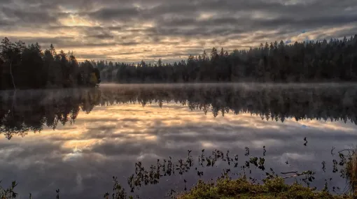 Dunkler HImmel am Etang