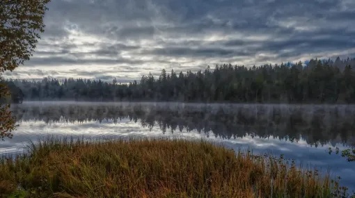 Trüber Morgen am Etang de la Gruère