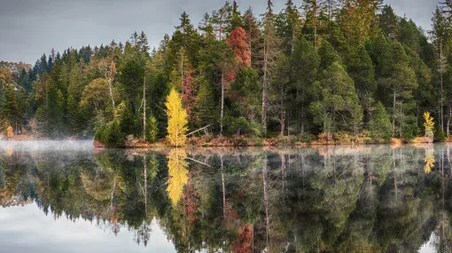Herbstliche Spiegelung