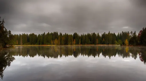 Herbstmorgen am Etang de la Gruère