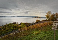 Blick von Twann auf den Bielersee