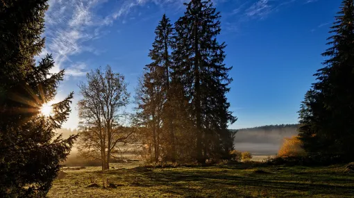 Letzter Oktobermorgen im Jura