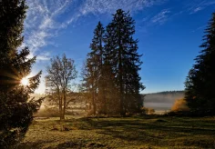 Letzter Oktobermorgen im Jura