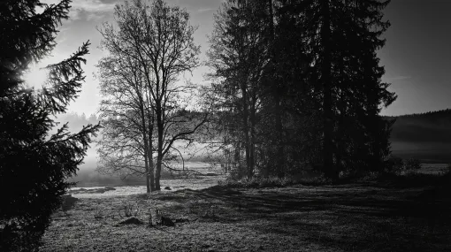 Herbstmorgen