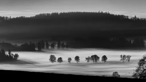 Nebel am Morgen bei Diesse