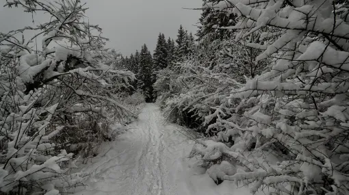 Der Weg in ein neues Jahr