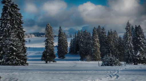 Juraweiden im Winter
