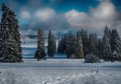 Juraweiden im Winter