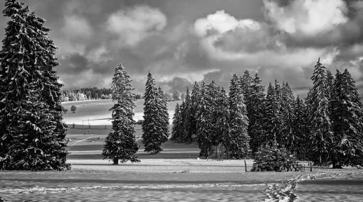 Winterlandschaft