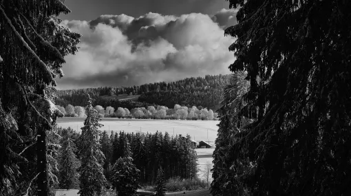 Winterszene