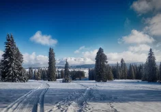Winternachmittag im Jura