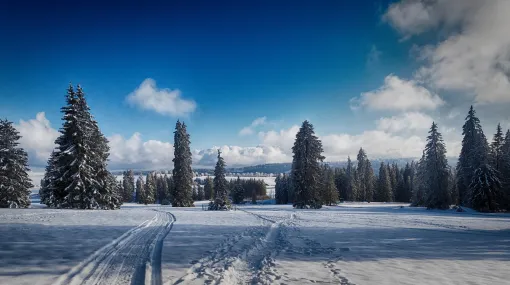 Winternachmittag im Jura