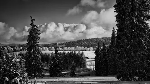 Winterlandschaft II