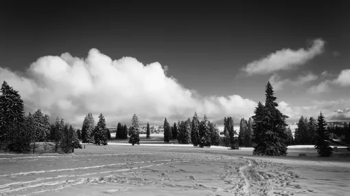 Jura Winterlandschaft