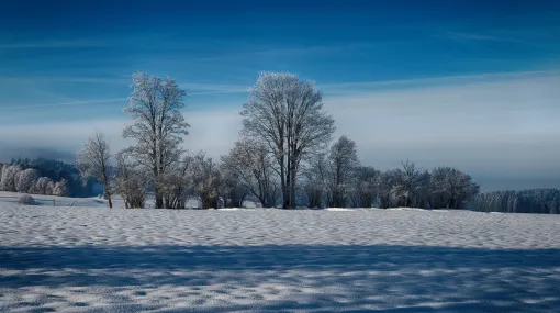 Kalter Morgen in Les Reussilles
