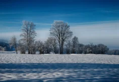 Kalter Morgen in Les Reussilles