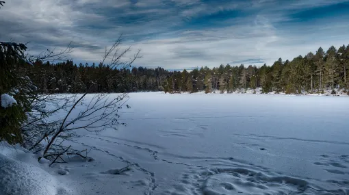Winterherz