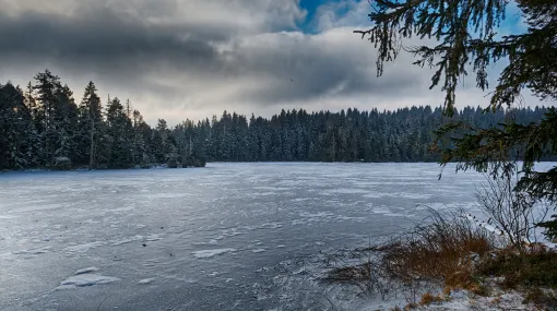 Fest gefrorener Etang de la Gruère
