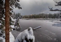 Schnee bedeckter Etang