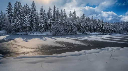 März Winter am Etang de la Gruère II