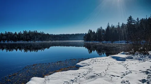 Der letzte Schnee im März am Etang