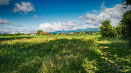 Blick auf Meienried
