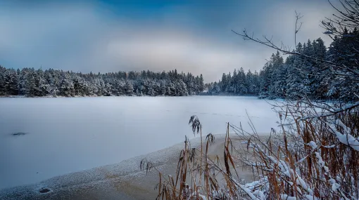 Frostiger Morgen