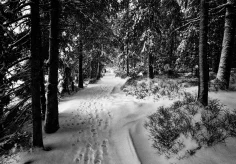 Wir sind nicht die ersten