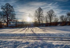 Am Morgen beim Geleise