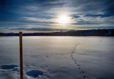 Spuren der Nacht am Morgen