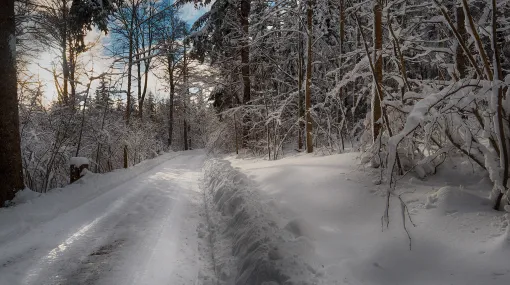 Winterweg