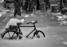 Ungeeignet bei diesem Wetter