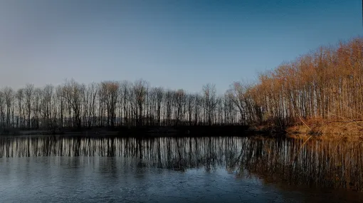 Spiegelung am Morgen