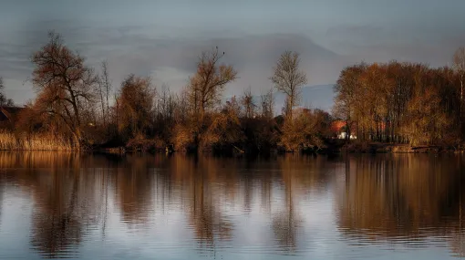Beim Baggersee am Morgen
