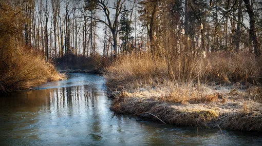 Kalter Morgen am Bach