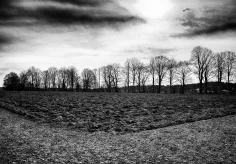 Vorbereitet für die Aussaat