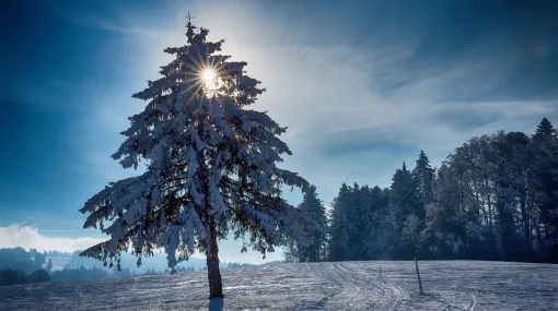 Schneebedeckt