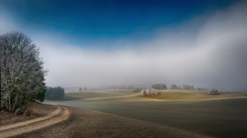 Der Nebel lichtet sich