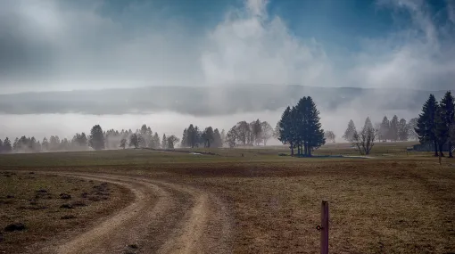 Nebel aus dem Tal