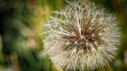 Ein eigenes Universum