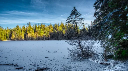 Winterstimmung I