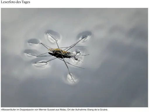 Leserfoto des Tages im Bieler Tagblatt vom 22. Juli 2025